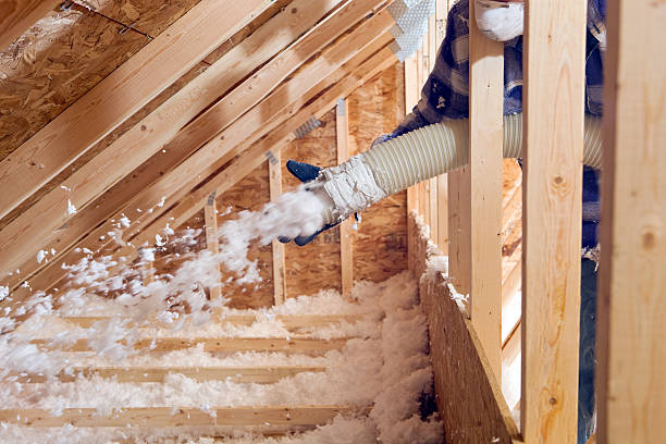 Best Pipe and Duct Insulation  in Rockdale, IL